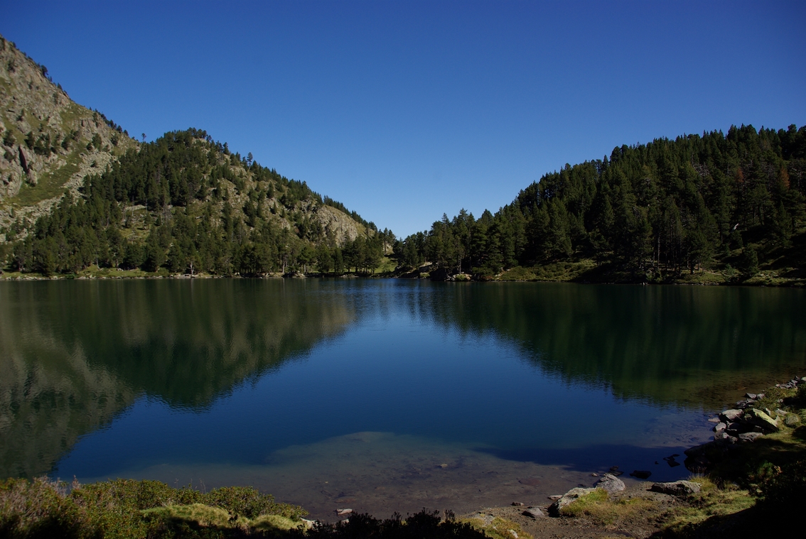 LPN Latitude Pyrénées Nature - Animations enfants, adulte et groupes à Val Louron